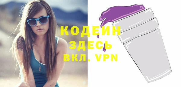 индика Абаза