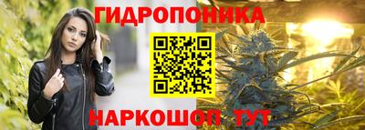 соль ск Дубна