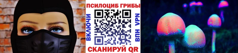Галлюциногенные грибы Psilocybe  маркетплейс клад  Чайковский 