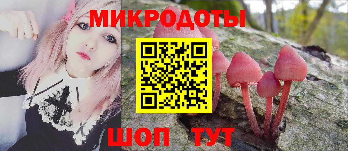 Псилоцибиновые грибы Psilocybine cubensis Чайковский