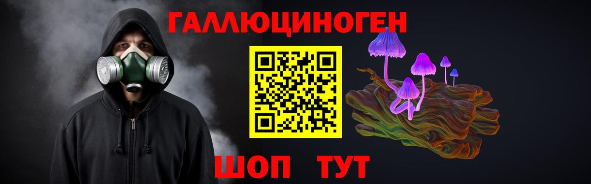 Чайковский  Псилоцибиновые грибы ЛСД  Вход с VPN 